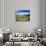 View of Eco Pond, Everglades National Park, Florida, USA-Adam Jones-Photographic Print displayed on a wall