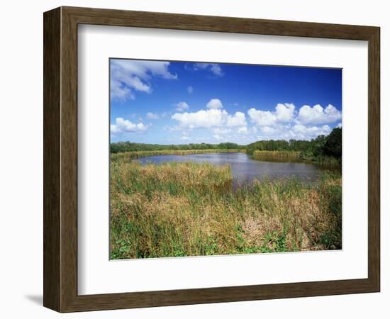 View of Eco Pond, Everglades National Park, Florida, USA-Adam Jones-Framed Photographic Print