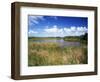 View of Eco Pond, Everglades National Park, Florida, USA-Adam Jones-Framed Photographic Print