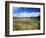 View of Eco Pond, Everglades National Park, Florida, USA-Adam Jones-Framed Photographic Print