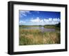 View of Eco Pond, Everglades National Park, Florida, USA-Adam Jones-Framed Photographic Print