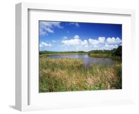 View of Eco Pond, Everglades National Park, Florida, USA-Adam Jones-Framed Photographic Print