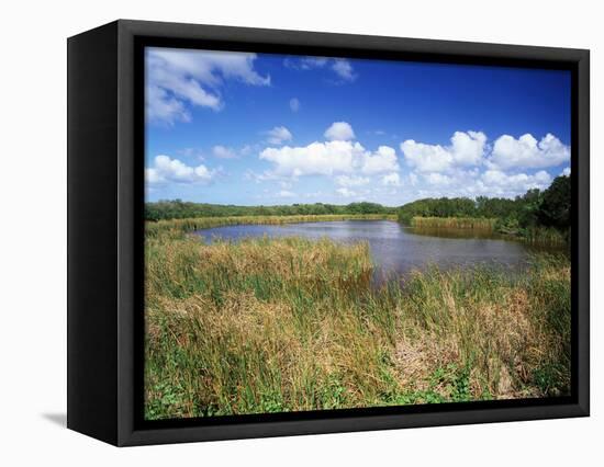 View of Eco Pond, Everglades National Park, Florida, USA-Adam Jones-Framed Stretched Canvas