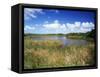 View of Eco Pond, Everglades National Park, Florida, USA-Adam Jones-Framed Stretched Canvas