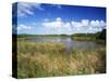 View of Eco Pond, Everglades National Park, Florida, USA-Adam Jones-Stretched Canvas