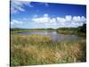 View of Eco Pond, Everglades National Park, Florida, USA-Adam Jones-Stretched Canvas