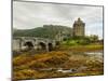 View of Eilean Donan Castle, Dornie, Highlands, Scotland, United Kingdom, Europe-Karol Kozlowski-Mounted Photographic Print