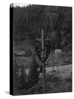 View of Electricians Fixing Wired Pole - Sawyers Bar, CA-Lantern Press-Stretched Canvas