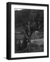 View of Electricians Fixing Wired Pole - Sawyers Bar, CA-Lantern Press-Framed Art Print