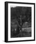 View of Electricians Fixing Wired Pole - Sawyers Bar, CA-Lantern Press-Framed Art Print