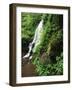 View of Fairy Falls and Wildflowers, Columbia River Gorge, Oregon, USA-Stuart Westmorland-Framed Photographic Print