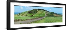 View of farmland along coast, Terceira Island, Azores, Portugal-null-Framed Photographic Print