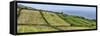 View of farmland along coast, Terceira Island, Azores, Portugal-null-Framed Stretched Canvas