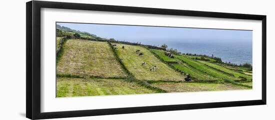 View of farmland along coast, Terceira Island, Azores, Portugal-null-Framed Photographic Print