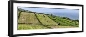 View of farmland along coast, Terceira Island, Azores, Portugal-null-Framed Photographic Print