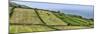 View of farmland along coast, Terceira Island, Azores, Portugal-null-Mounted Photographic Print