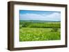 View of farmland and Baslow village during spring, Peak District National Park, Derbyshire, England-Frank Fell-Framed Photographic Print