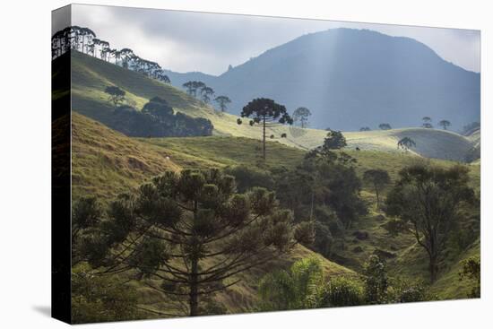 View of Farmland at Sunset in Sao Francisco Xavier Region-Alex Saberi-Stretched Canvas