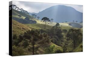 View of Farmland at Sunset in Sao Francisco Xavier Region-Alex Saberi-Stretched Canvas