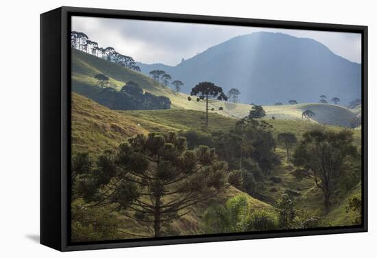 View of Farmland at Sunset in Sao Francisco Xavier Region-Alex Saberi-Framed Stretched Canvas