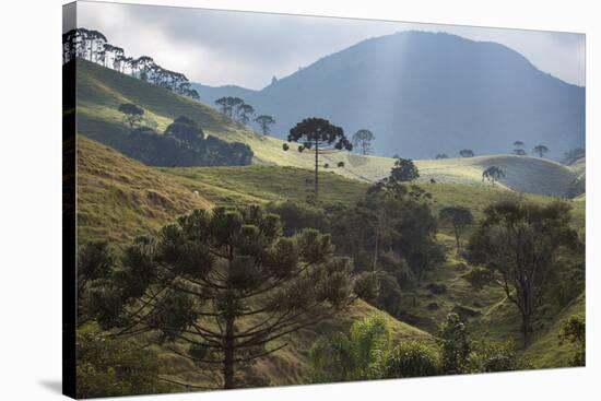 View of Farmland at Sunset in Sao Francisco Xavier Region-Alex Saberi-Stretched Canvas