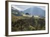 View of Farmland at Sunset in Sao Francisco Xavier Region-Alex Saberi-Framed Photographic Print