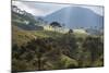 View of Farmland at Sunset in Sao Francisco Xavier Region-Alex Saberi-Mounted Photographic Print