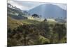 View of Farmland at Sunset in Sao Francisco Xavier Region-Alex Saberi-Mounted Photographic Print