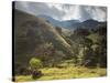 View of Farmland at Sunset in Sao Francisco Xavier Region-Alex Saberi-Stretched Canvas