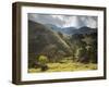 View of Farmland at Sunset in Sao Francisco Xavier Region-Alex Saberi-Framed Photographic Print