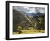 View of Farmland at Sunset in Sao Francisco Xavier Region-Alex Saberi-Framed Photographic Print