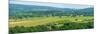 View of farmland near Chatsworth House in spring, Derbyshire Dales, Derbyshire, England-Frank Fell-Mounted Photographic Print