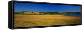 View of Field, Prince Edward Island, Canada-Walter Bibikow-Framed Stretched Canvas