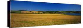 View of Field, Prince Edward Island, Canada-Walter Bibikow-Stretched Canvas