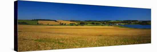 View of Field, Prince Edward Island, Canada-Walter Bibikow-Stretched Canvas