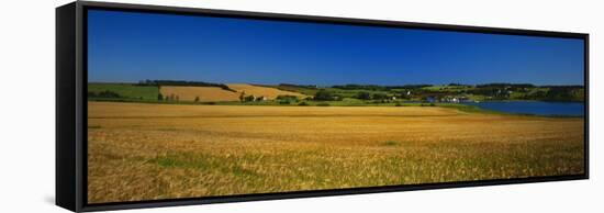 View of Field, Prince Edward Island, Canada-Walter Bibikow-Framed Stretched Canvas