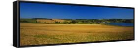 View of Field, Prince Edward Island, Canada-Walter Bibikow-Framed Stretched Canvas