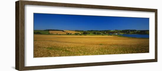 View of Field, Prince Edward Island, Canada-Walter Bibikow-Framed Photographic Print