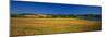 View of Field, Prince Edward Island, Canada-Walter Bibikow-Mounted Photographic Print