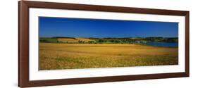 View of Field, Prince Edward Island, Canada-Walter Bibikow-Framed Photographic Print