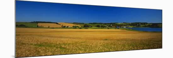 View of Field, Prince Edward Island, Canada-Walter Bibikow-Mounted Photographic Print