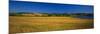 View of Field, Prince Edward Island, Canada-Walter Bibikow-Mounted Photographic Print