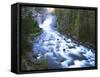 View of Firehole Falls and Firehole River, Yellowstone National Park, Wyoming, USA-Adam Jones-Framed Stretched Canvas