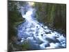 View of Firehole Falls and Firehole River, Yellowstone National Park, Wyoming, USA-Adam Jones-Mounted Premium Photographic Print