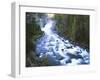 View of Firehole Falls and Firehole River, Yellowstone National Park, Wyoming, USA-Adam Jones-Framed Photographic Print