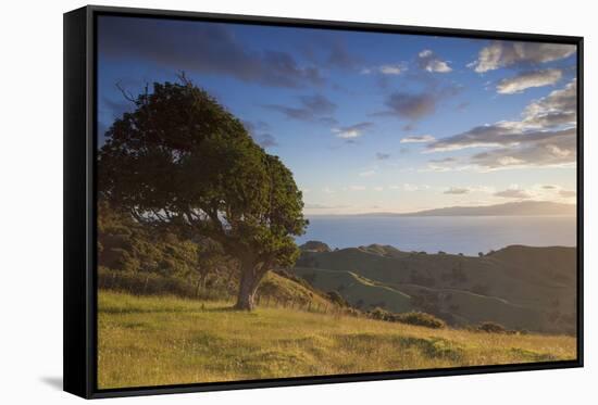 View of Firth of Thames, Coromandel Peninsula, Waikato, North Island, New Zealand, Pacific-Ian-Framed Stretched Canvas