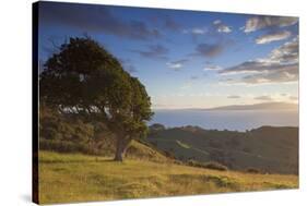 View of Firth of Thames, Coromandel Peninsula, Waikato, North Island, New Zealand, Pacific-Ian-Stretched Canvas