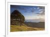 View of Firth of Thames, Coromandel Peninsula, Waikato, North Island, New Zealand, Pacific-Ian-Framed Photographic Print