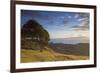 View of Firth of Thames, Coromandel Peninsula, Waikato, North Island, New Zealand, Pacific-Ian-Framed Photographic Print