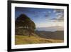 View of Firth of Thames, Coromandel Peninsula, Waikato, North Island, New Zealand, Pacific-Ian-Framed Photographic Print